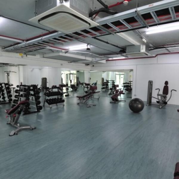 Gym Facilities